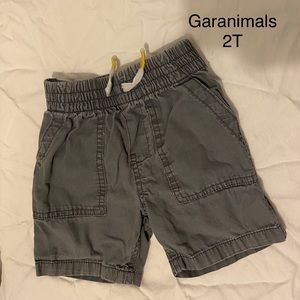 Gray toddler boys shorts